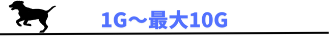 1G~最大10G